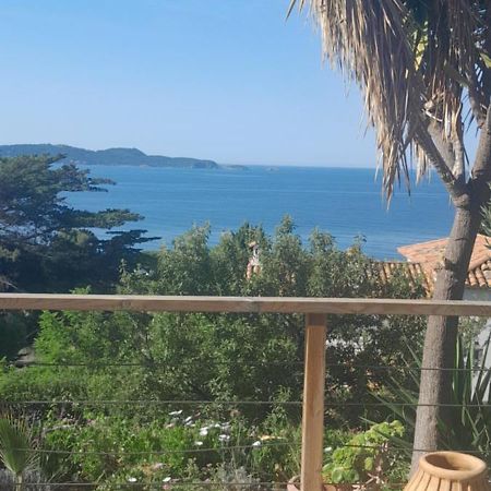 F3 Rdc Villa Vue Mer 180 Face A La Pointe De Giens ガイヤック エクステリア 写真